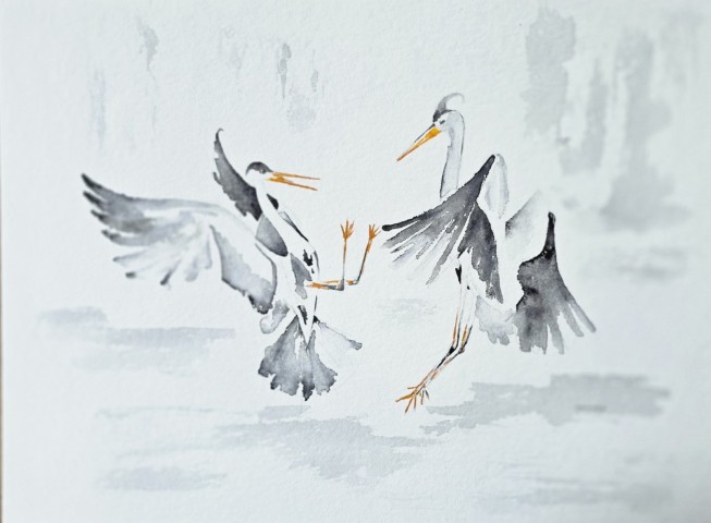 Aquarellbild  mit Kranichen vor weissem Hintergrund